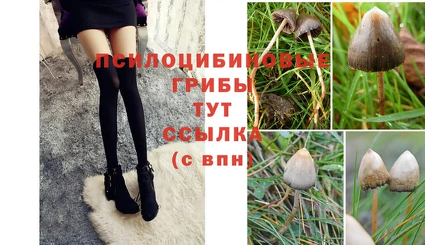 мдма Володарск