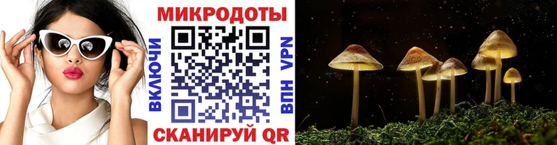 Купить закладки  Дюртюли  Галлюциногенные грибы MAGIC MUSHROOMS 